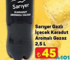 SARIYER GAZLI İÇECEK KARADUT AROMALI GAZOZ 2,5 L